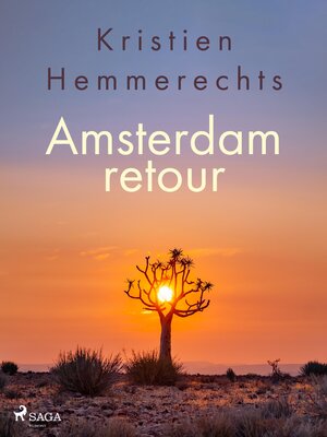 cover image of Amsterdam retour